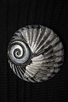 Image for Coal Metallic Shell Brooch